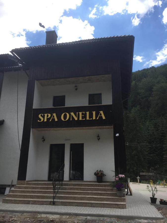 Pension Onelia Gîrda de Sus Buitenkant foto