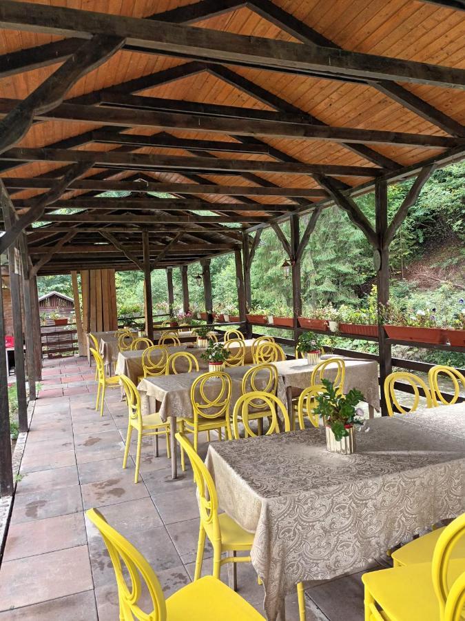 Pension Onelia Gîrda de Sus Buitenkant foto