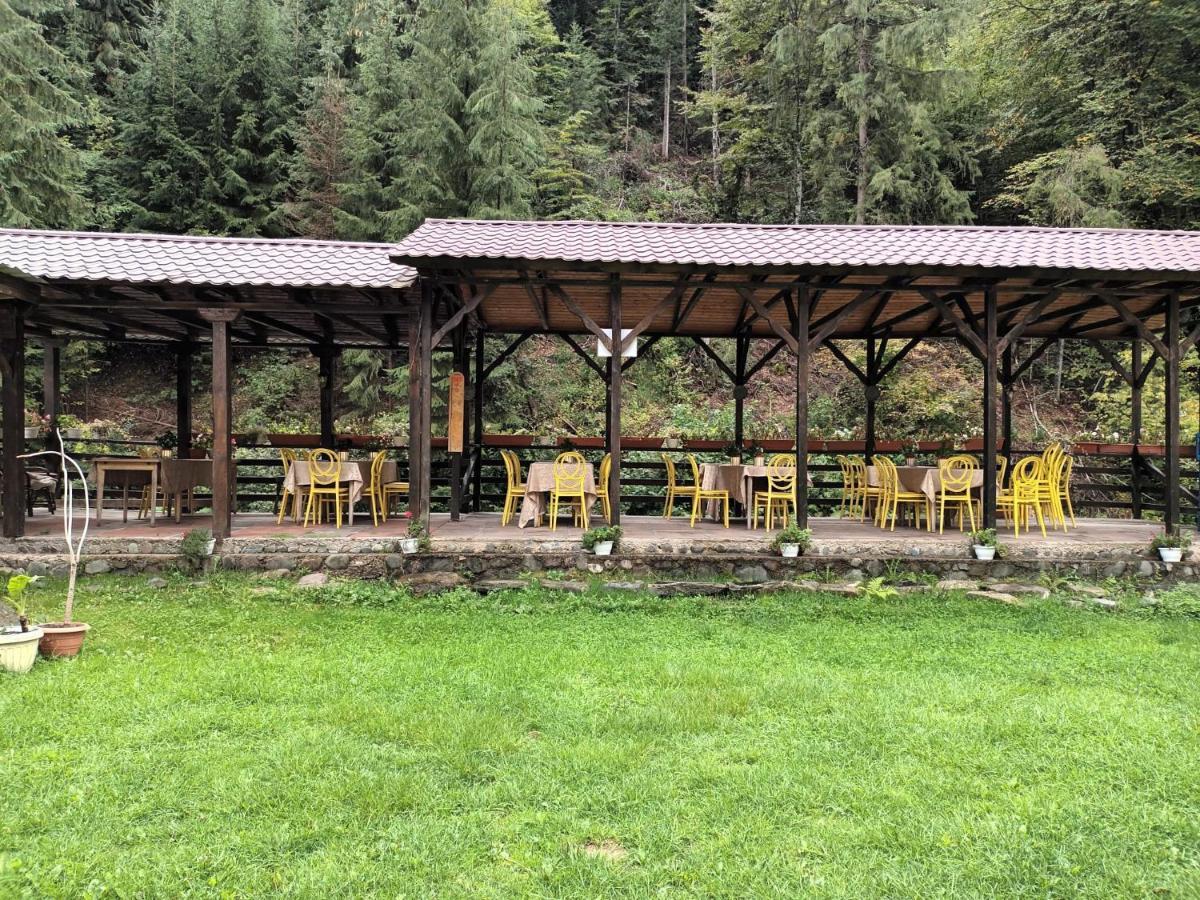 Pension Onelia Gîrda de Sus Buitenkant foto