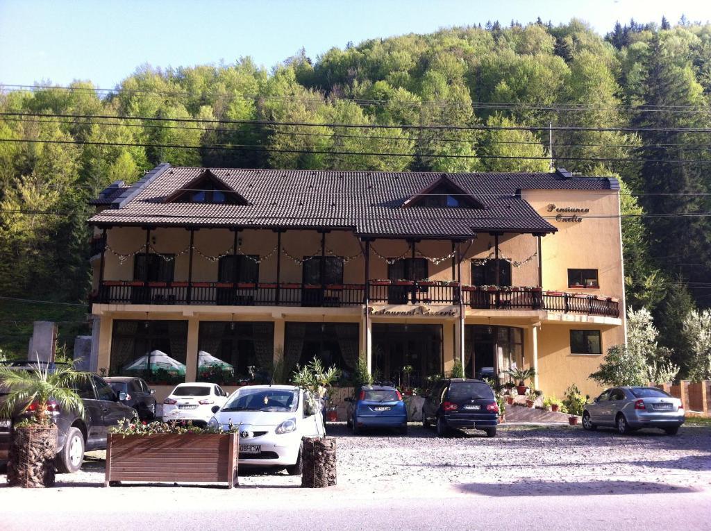 Pension Onelia Gîrda de Sus Buitenkant foto