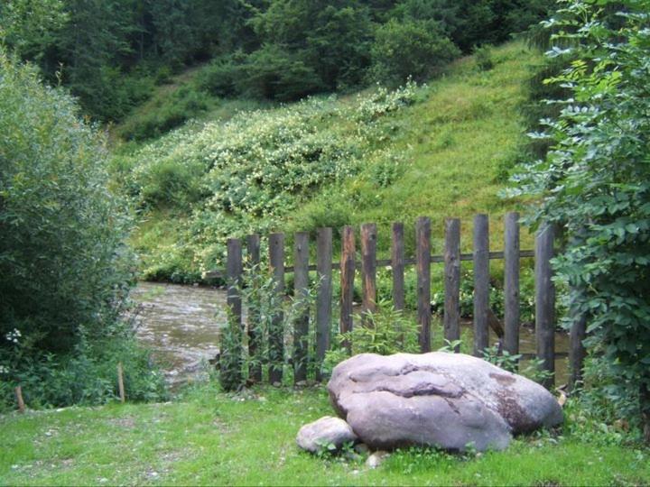 Pension Onelia Gîrda de Sus Buitenkant foto